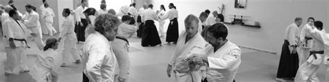 Aikido Lessons Free 的图像结果