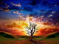 3d Wallpaper Nature by 3d Nature Wallpapers Wallpaper Cave 3d Wallpaper Nature