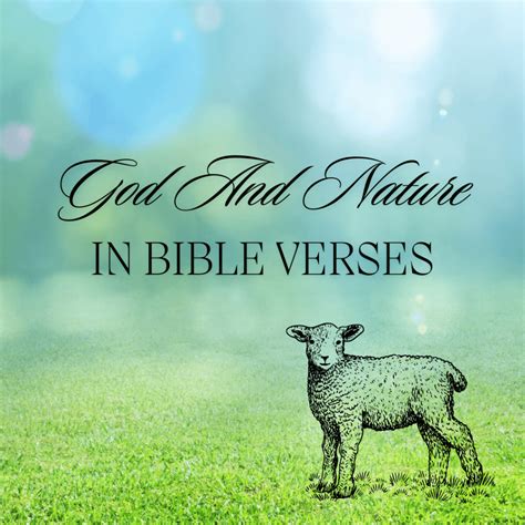 God and Nature in Bible Verses - BudgetingFaithfully.com