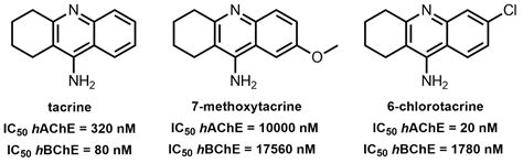 Tacrine-Based Hybrids: Past, Present, and Future