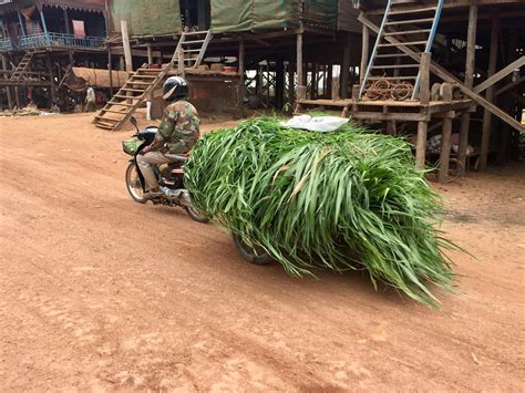 Image result for Motorail Loading