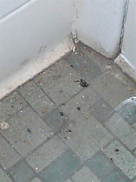 RUSSO'S MOTEL (Carolina Beach) - Motel Reviews & Photos - Tripadvisor