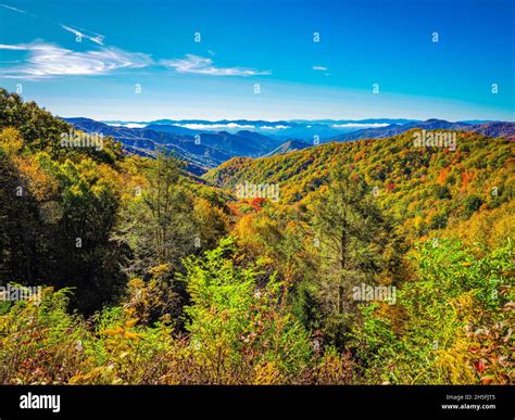 Clouds in the valley from Newfound Gap Road in the Great Smoky ...
