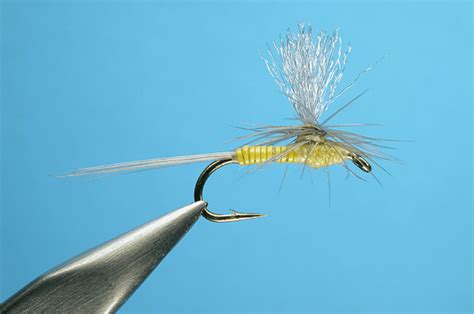Image result for PMD Fly Pattern