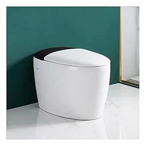Smart Toilet Electromagnetic pulse toilet - Vehpro 2021 Glaze One-Piece ...