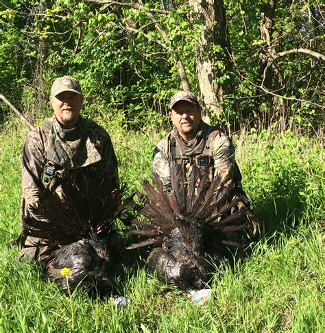 Kentucky Turkey Hunting Success - Western Kentucky Outdoors