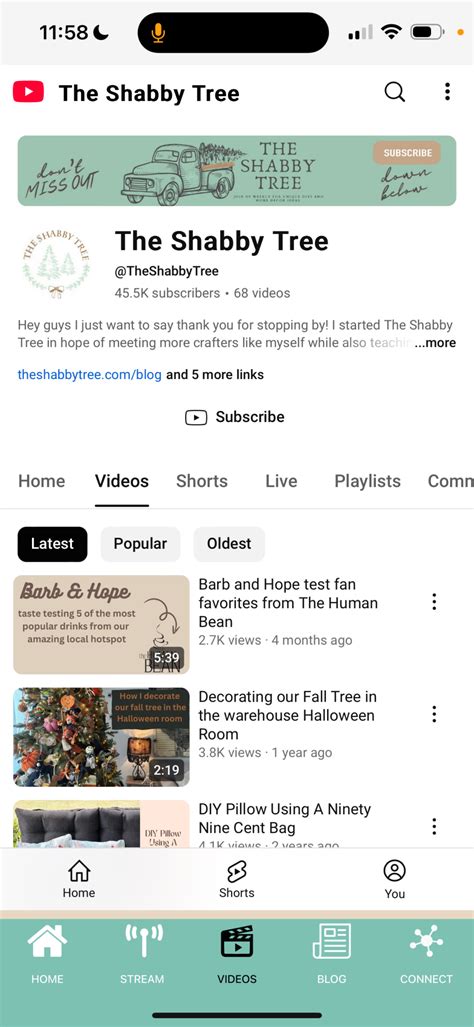 Image result for Shabby Tree Blog Post