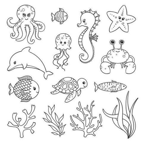 海洋简笔画生物(海洋生物,简笔画) - 抖兔教育
