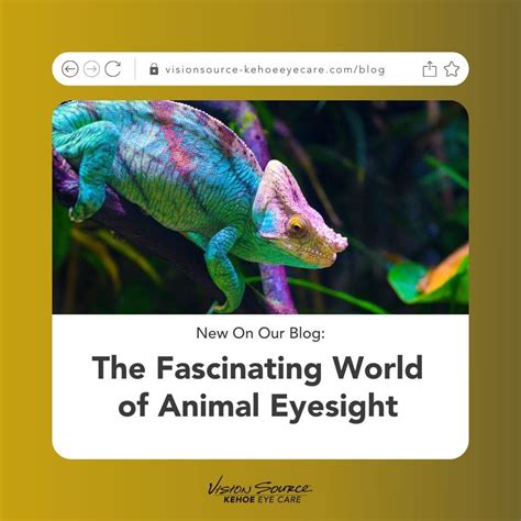 Kehoe Eye Care - Monmouth, IL on LinkedIn: This blog post explores some ...