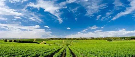 大农业 的图像结果