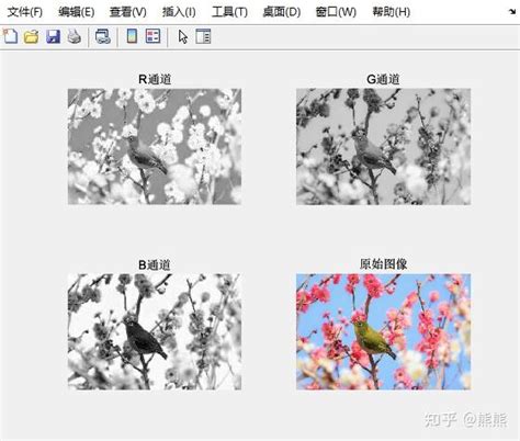 How to Swap Colours of a Picture Using MATLAB 的图像结果