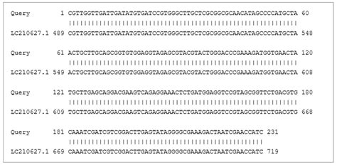 Next-Generation Sequencing for Evaluating the Soil Nematode Diversity ...