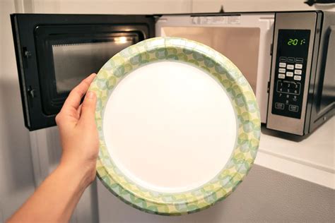 Can You Microwave Paper Plates? - The iambic