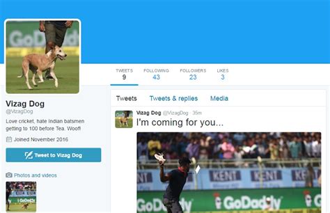 The Vizag Dog is on Twitter and he isn't an India fan - IBTimes India