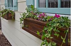 Window Flower Boxes by Get Ready For With Window Boxes Window Flower Boxes