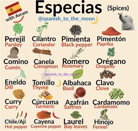 Pin von Katie Brooks auf Español in 2025 | Spanisch lernen, Spanisch ...