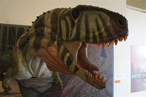 Image result for Python vs Lion