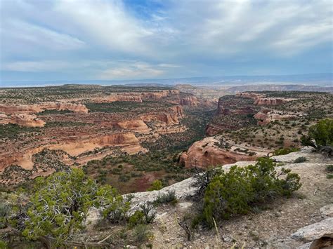 Want to See Arches in Colorado? The Ultimate Guide to Rattlesnake ...
