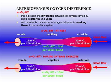 Image result for Normal PaO2