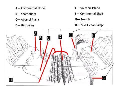 Ocean Floor Diagram Worksheet