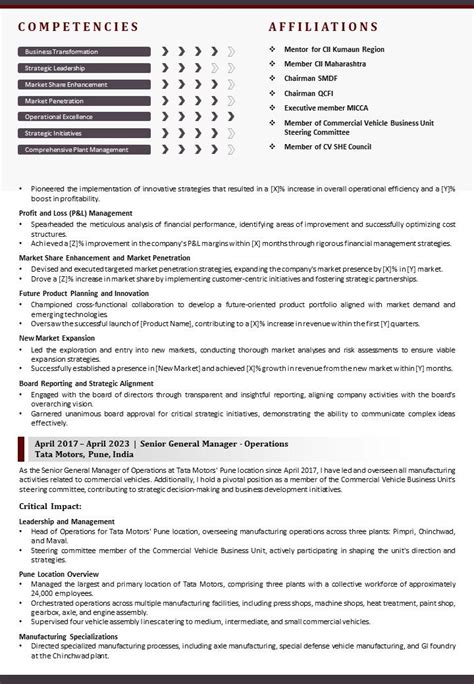 Automotive Executive Resume Case Study | Senior Level CV Guide