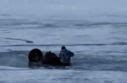 司机载乘客冰面漂移 双双坠入江底 目击者：幸好人都救上来了_新闻快讯_海峡网
