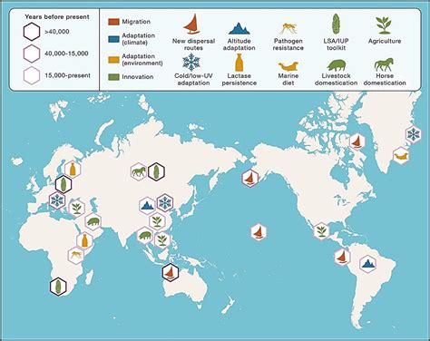 Human Evolution Migration Map 的图像结果