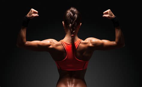 Muscle Development Workout 的图像结果