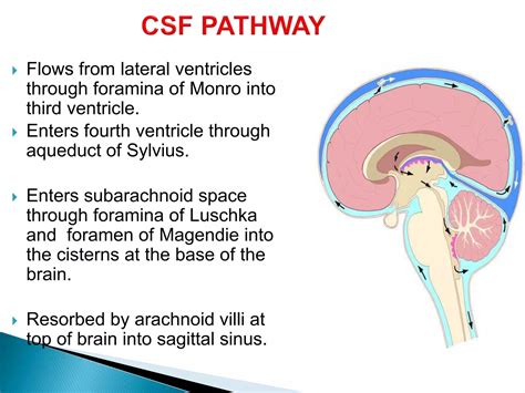 HYDROCEPHALUS | PPTX