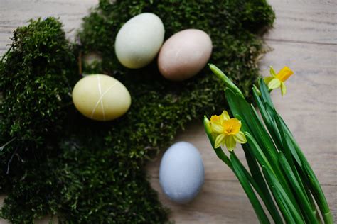 Plant Based Eggs Photos, Download Free Plant Based Eggs Stock Photos ...