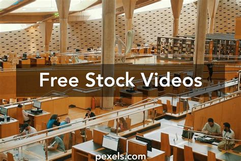 Image result for Video Library Free