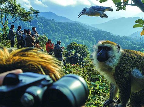 Silent Valley, Kerala: A Complete Guide – Top Activities, Must-See ...