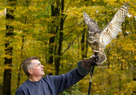 Native American Artifacts and Birds of Prey