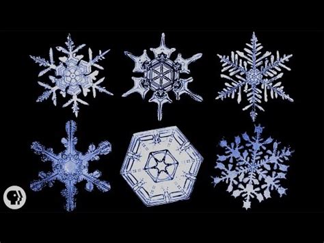 Image result for Snowflake Query Profile