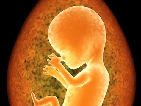 胎儿缺氧的3大症状，胎儿缺氧和体外受精有关系吗 - 好孕无忧