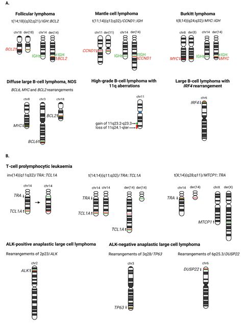 Genetic alterations in mature B- and T-cell lymphomas – a practical guide to WHO-HAEM5