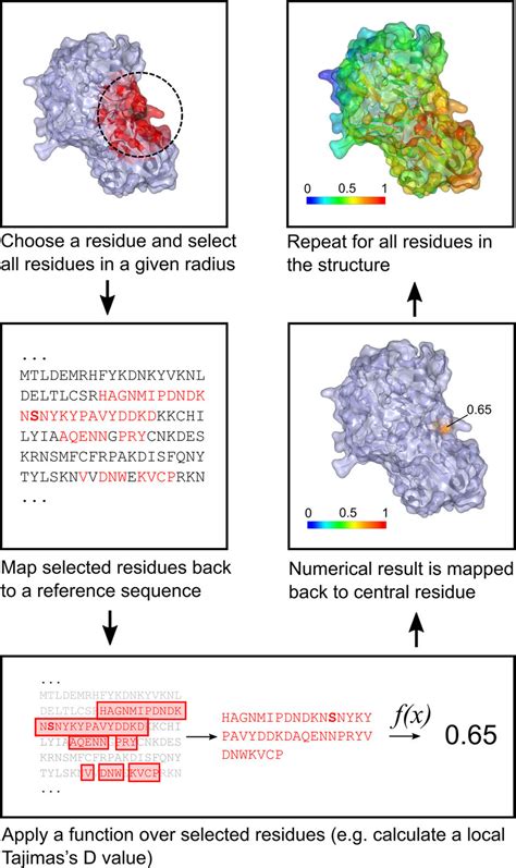 Structural Mapping 的图像结果