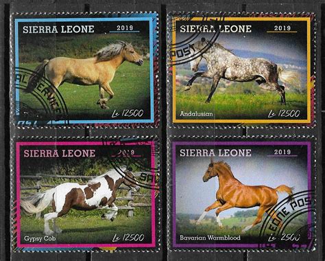 W1) Sierra Leone 2019 Sport Equestrian Race Pre Breed Horses Farm ...