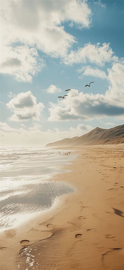 Bing Summer Beach Wallpaper 的图像结果