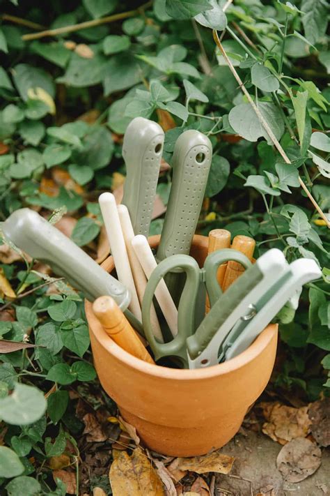 15 Basic Gardening Tools for Growing Your Own Food - The Miller Acres