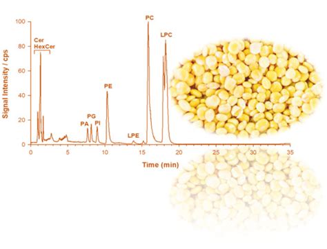 Analysis of Phospholipids, Lysophospholipids, and Their Linked Fatty ...