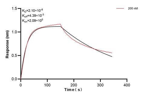 t-Plasminogen activator/tPA antibody (84191-4-PBS) | Proteintech