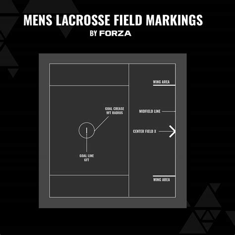Lacrosse Field Dimensions & Layout Guide | Net World Sports