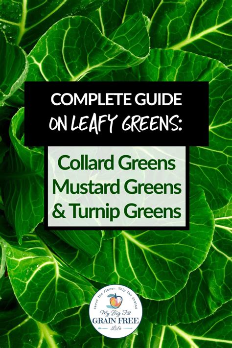Complete Guide on Greens: Collards, Mustards & Turnip Greens