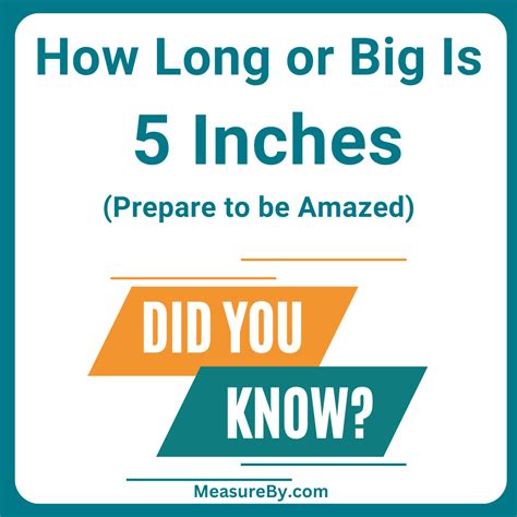 How Long or Big Is 5 Inches: An Expert Guide