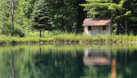 BRADNER PRESERVE - All You Need to Know BEFORE You Go 2026 (with Photos ...