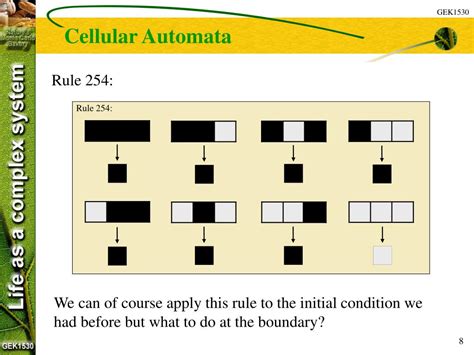 Image result for Cellular Automata Rules