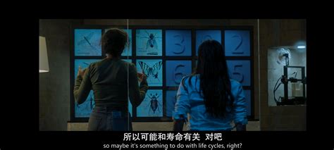 浅谈B版《密逃2》与网版《密逃2》 - 哔哩哔哩