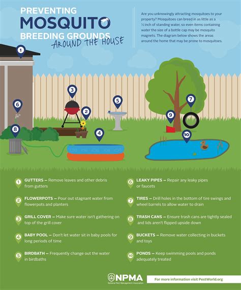 How to Get Rid of Mosquitoes - Home & Garden Lawn Care
