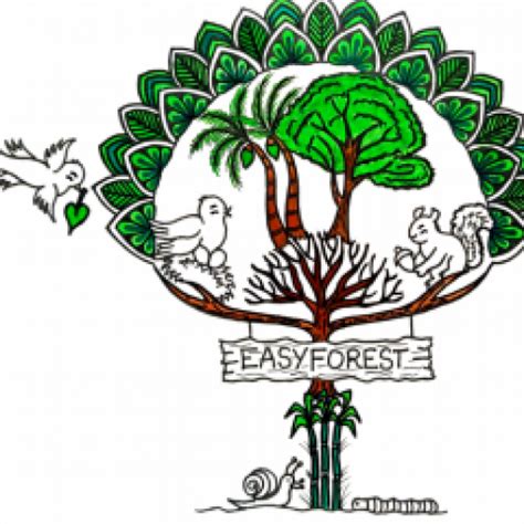 Services – EasyForest